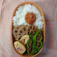 Snapdishの料理写真:今日のオット弁当|kayoccyaさん