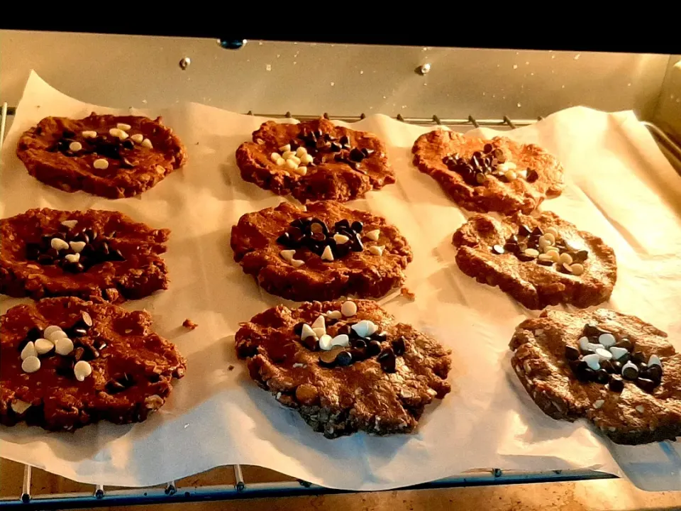 choco chips oats cookies|Deepa Tiwariさん