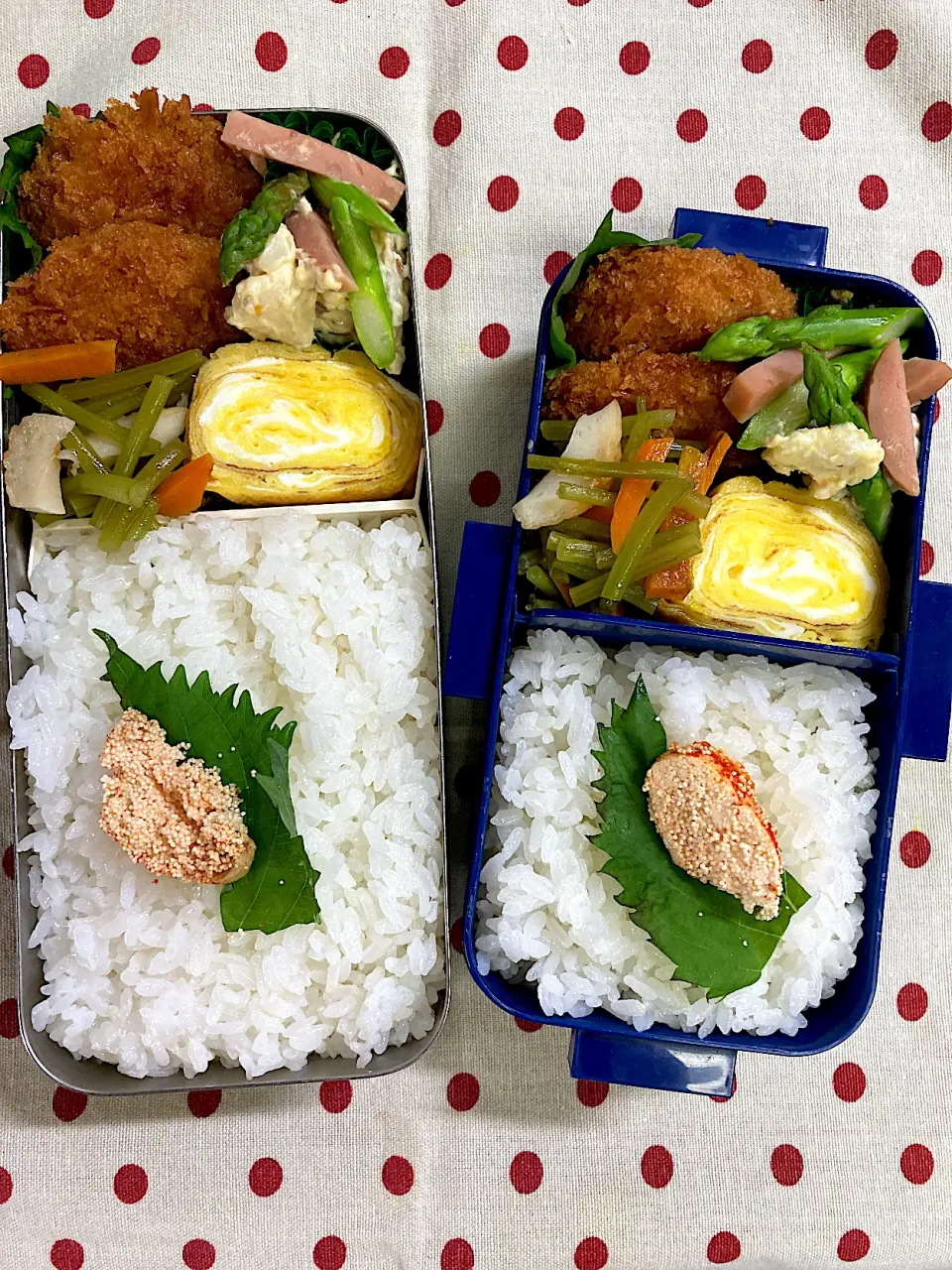 9月28日　週の始まり弁当🍱|sakuramochiさん