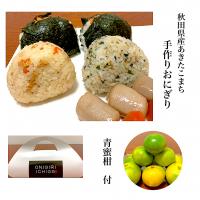 手作りおにぎり弁当