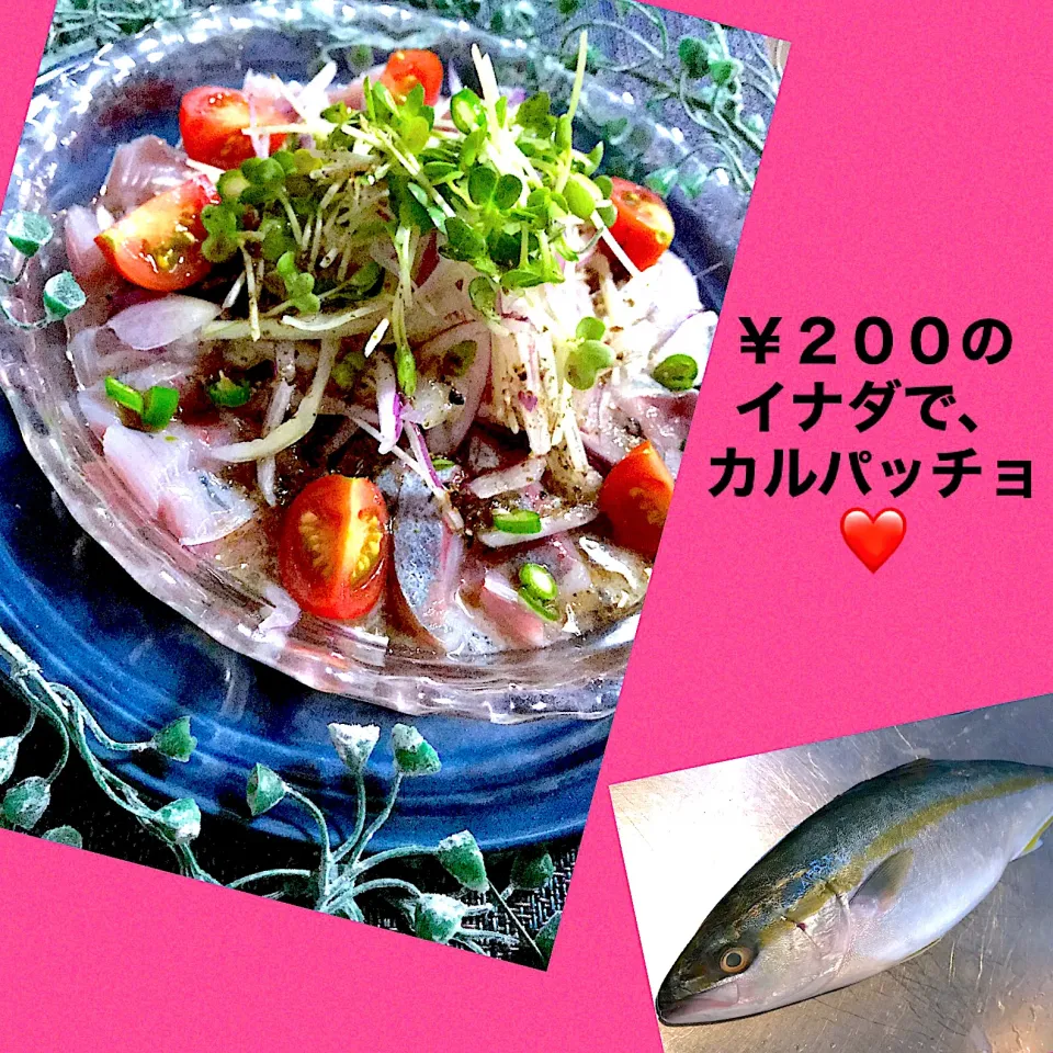 ￥200のイナダでカルパッチョwith青唐辛子❤️❤️❤️|🌺🌺Foodie🌺🌺さん