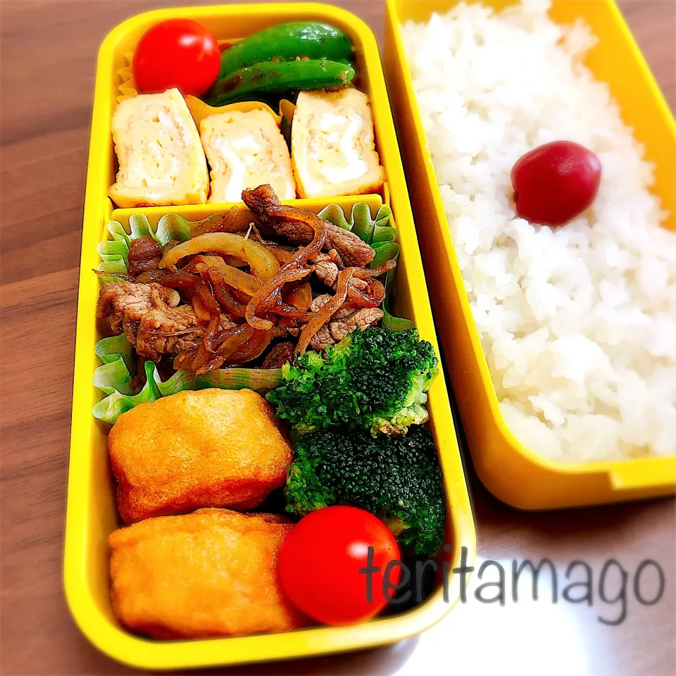 お弁当|teritamagoさん