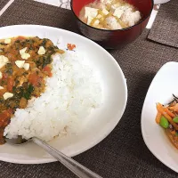 鶏肉とほうれん草のトマトカレー＆ひじきとツナのサラダ＆つみれ汁|kanaさん