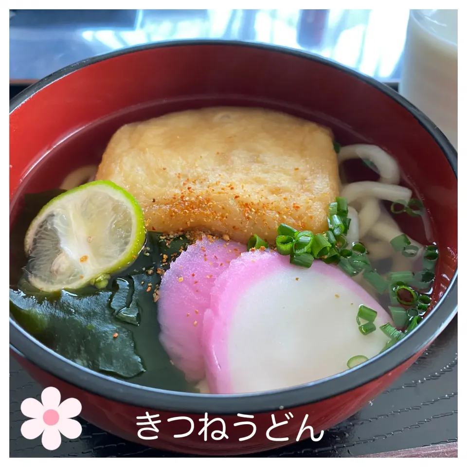 きつねうどん|いのっちさん