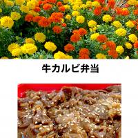 牛カルビ弁当