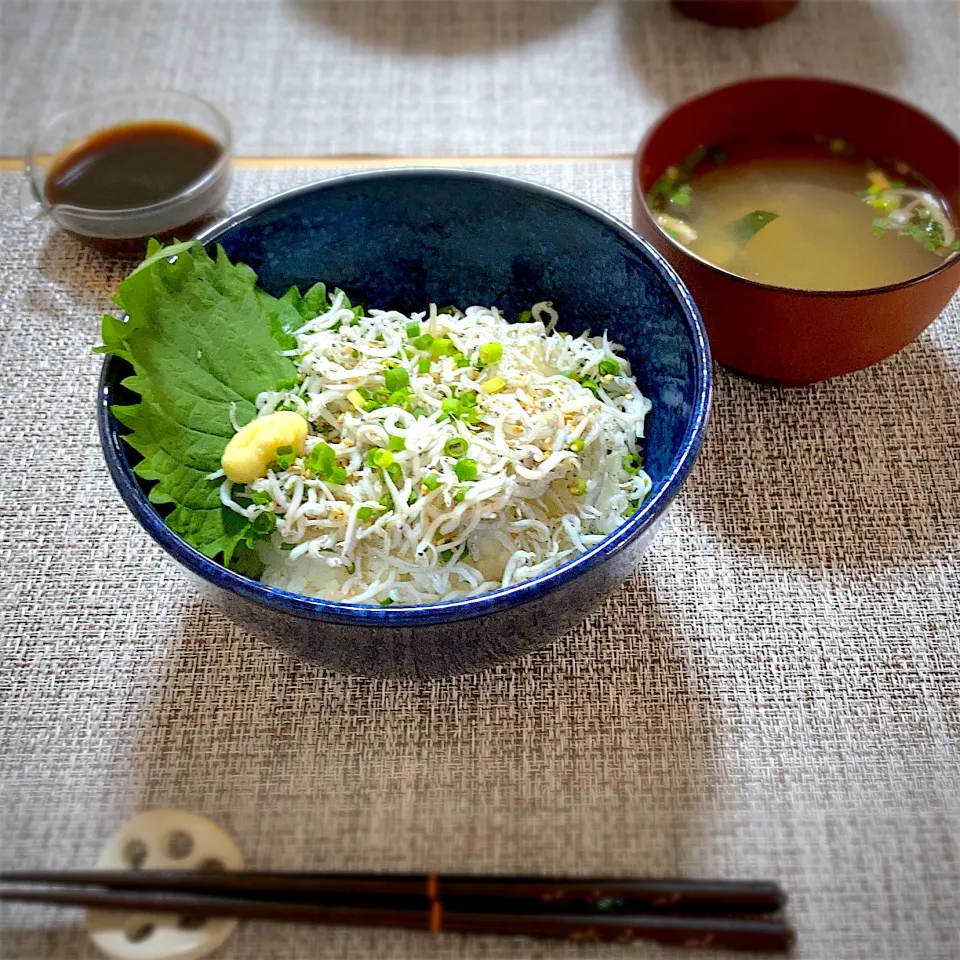 昼食|ツインうさぎさん