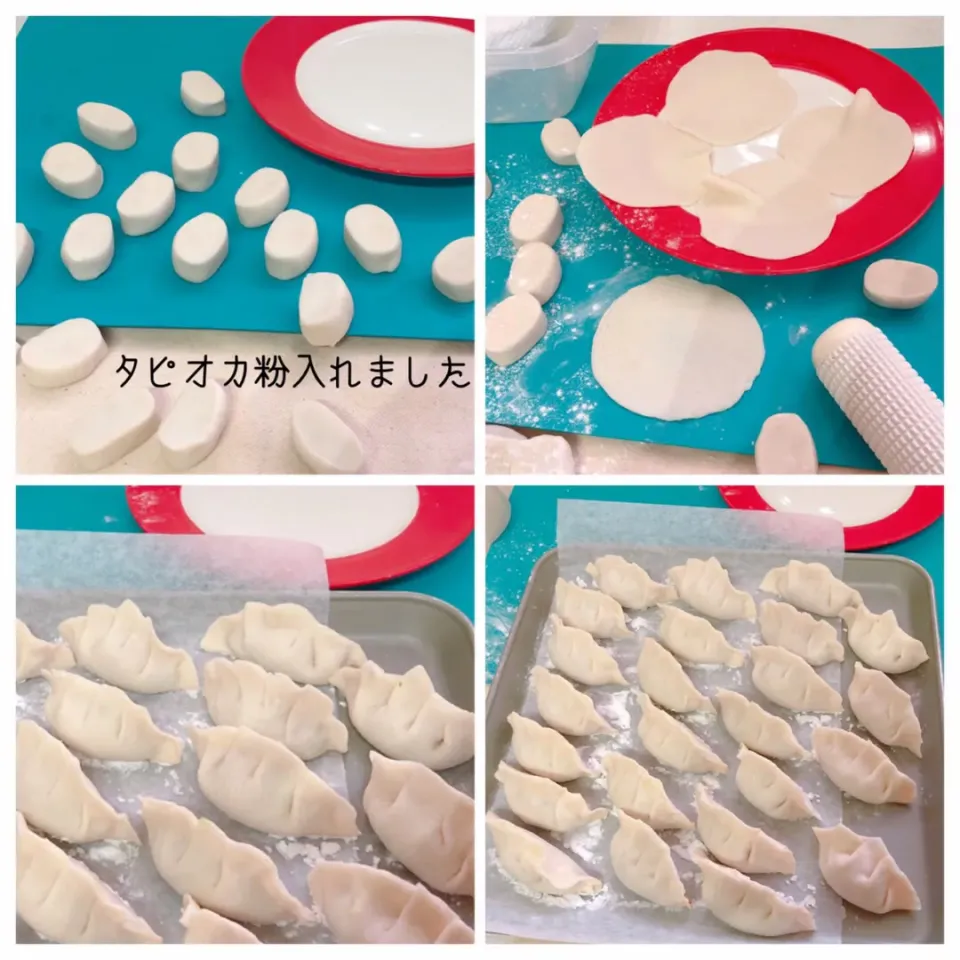 Snapdishの料理写真:手作り餃子の皮(タピオカ入り)|ぷらっとさん