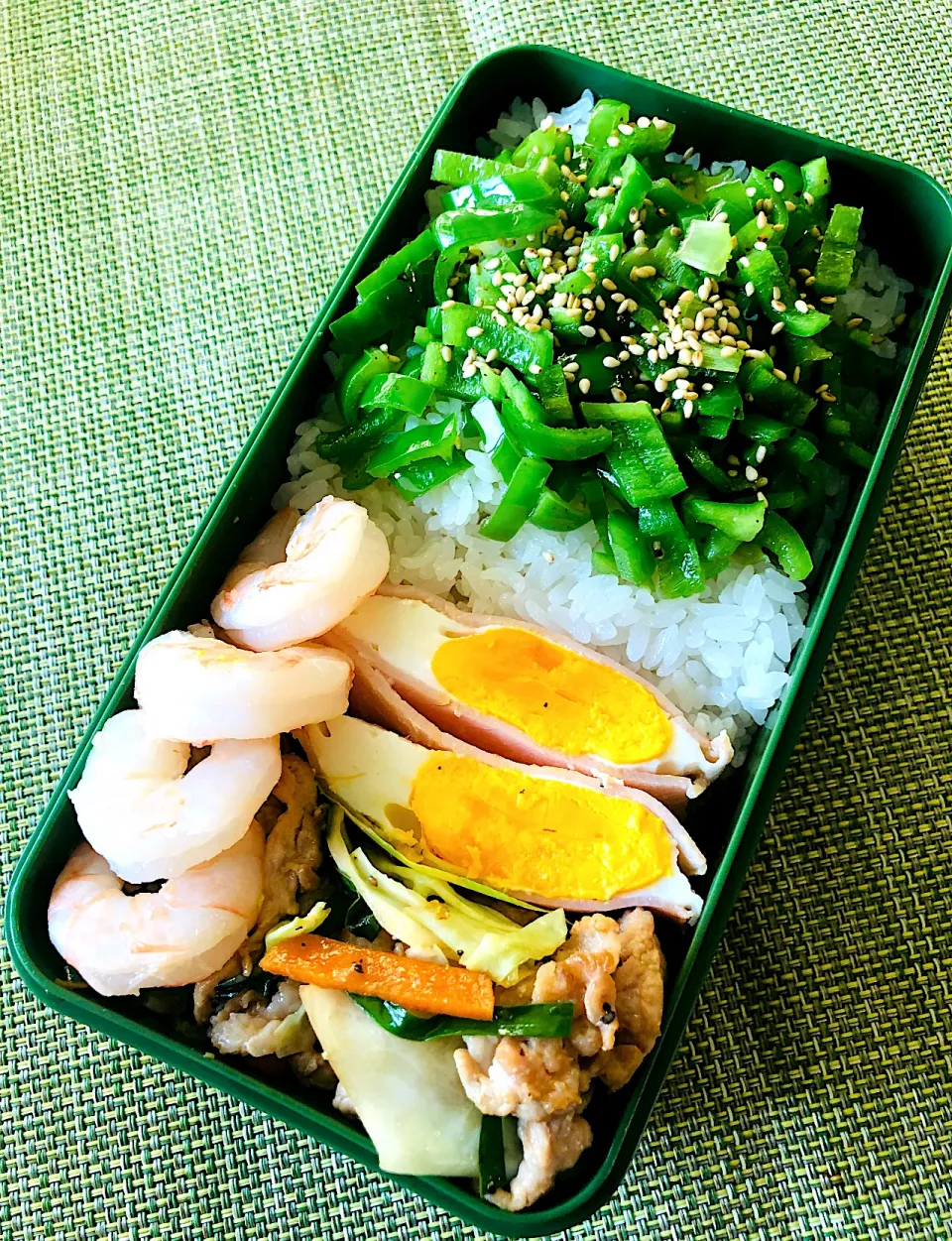 Snapdishの料理写真:豚肉野菜炒めとピーマンきんぴらのお弁当|＊ayabianさん