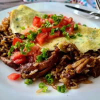 Snapdishの料理写真:Chicken Adobo Fried Rice Omelet