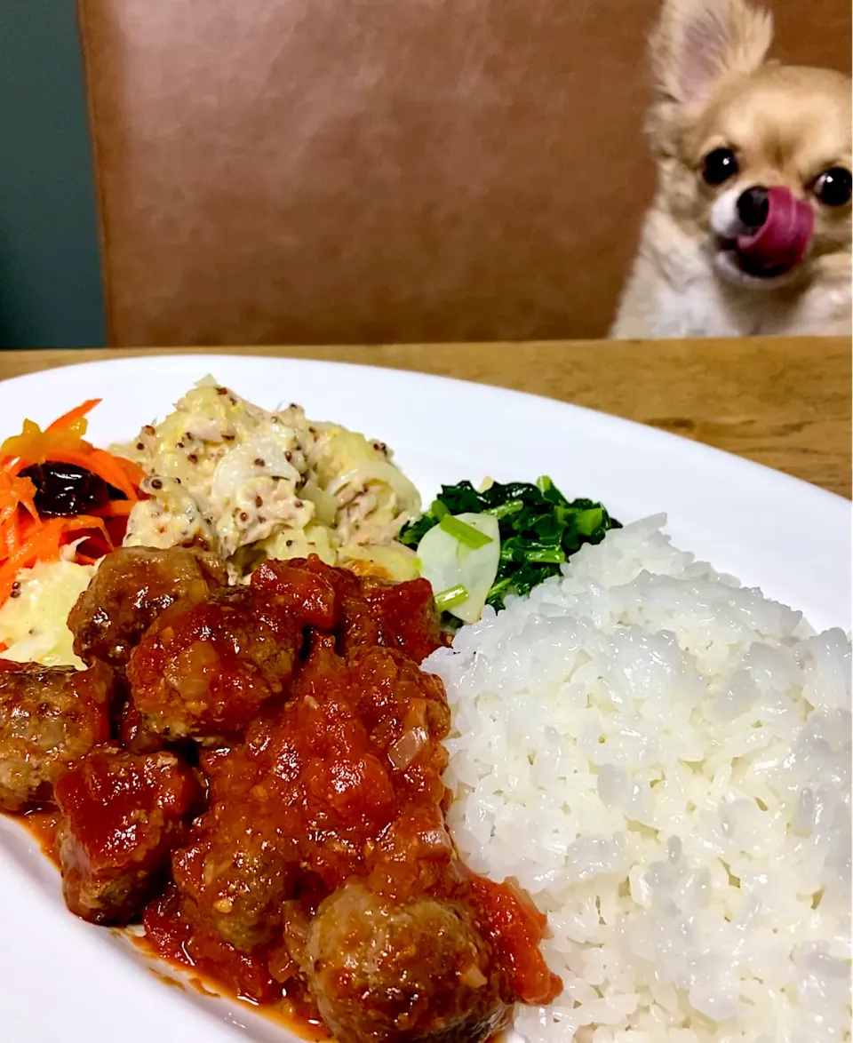 息子のワンプレート晩ごはんと犬|エイコさん