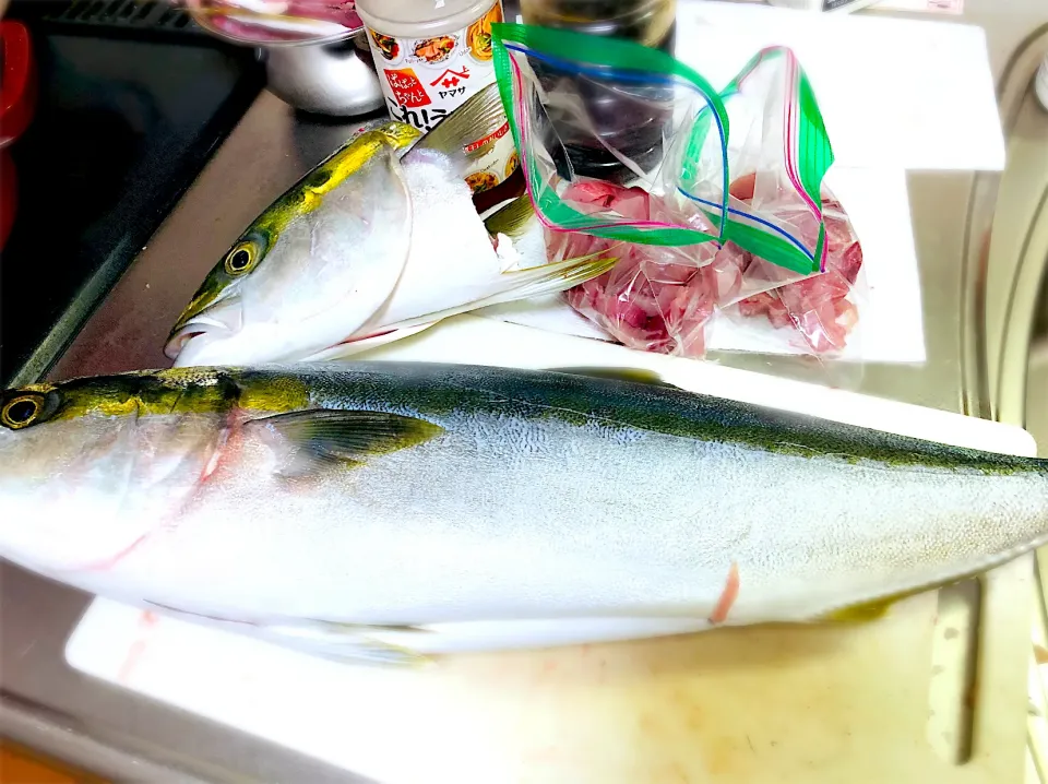 漬けるだけ、ワラサの醤油漬け|かぜるさん