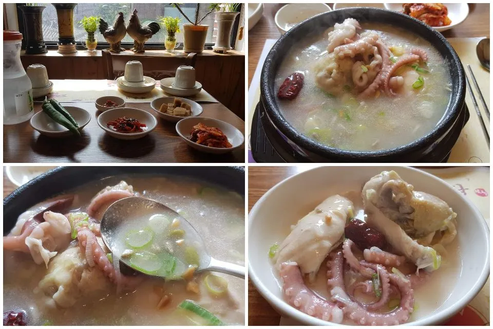 ginseng chicken soup with octopus|steven z.y.さん