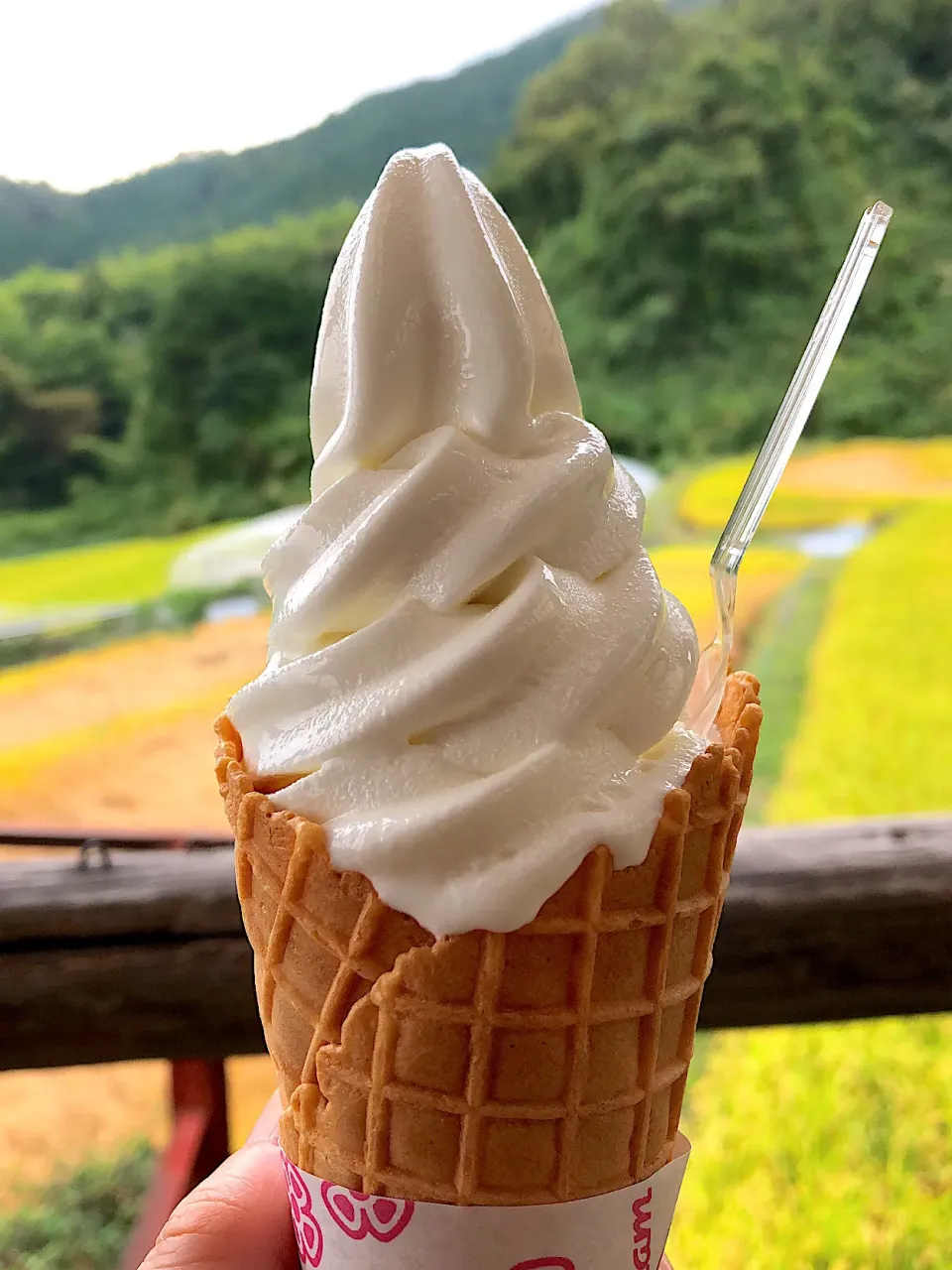 Snapdishの料理写真:|ユリアさん