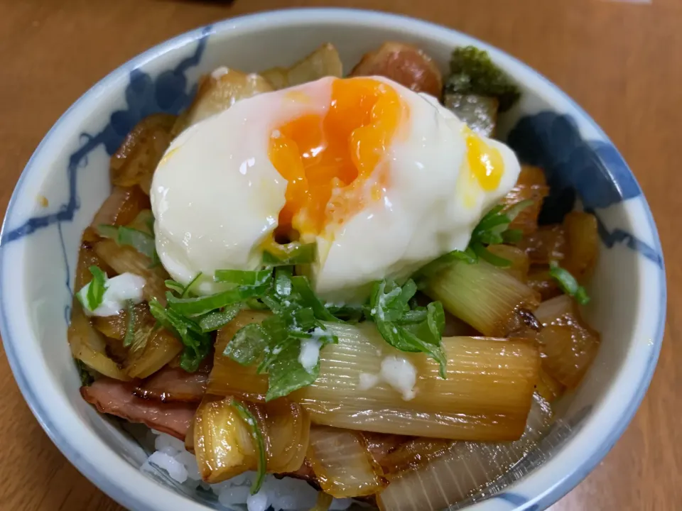 Snapdishの料理写真:ネギの美味しさに包まれ丼|Mr.キャベジさん