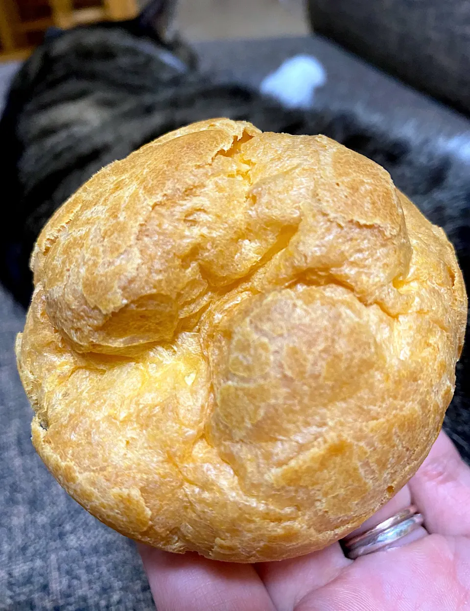 シュークリーム|Kouji  Kobayashiさん