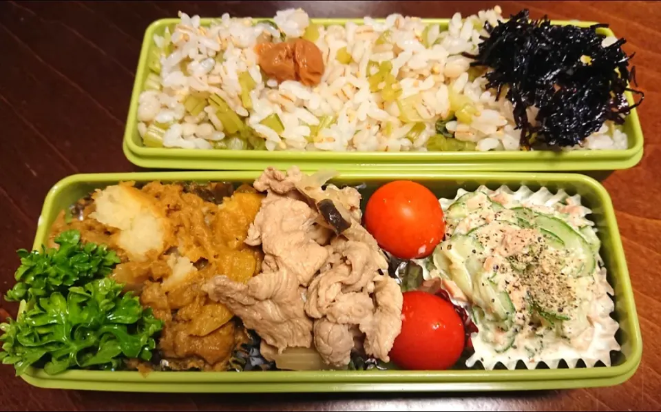 Snapdishの料理写真:菜飯と野菜カレー弁当|りょーさん