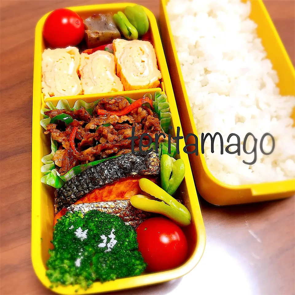 お弁当|teritamagoさん