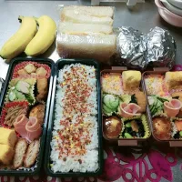 Snapdishの料理写真:♡お弁当の日♡|熊谷 絵美さん