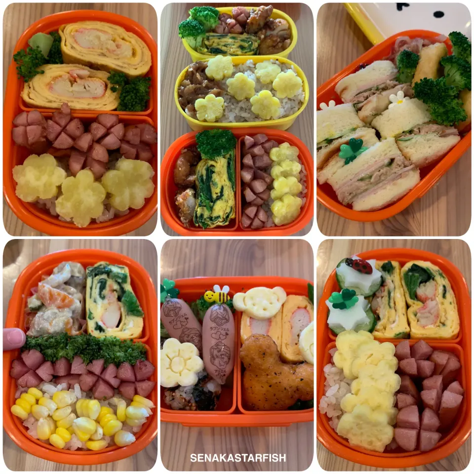 幼稚園のお弁当|愛さん