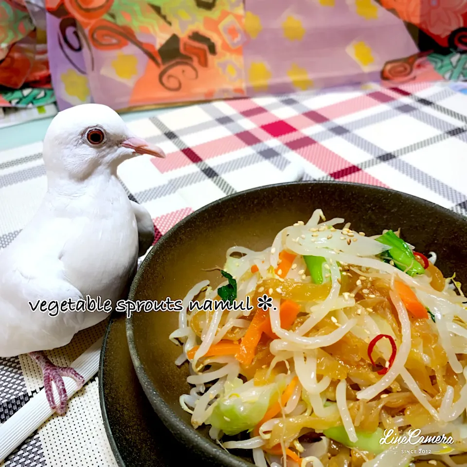 Snapdishの料理写真:野菜もやしナムル✽.｡.:*|Toshieさん