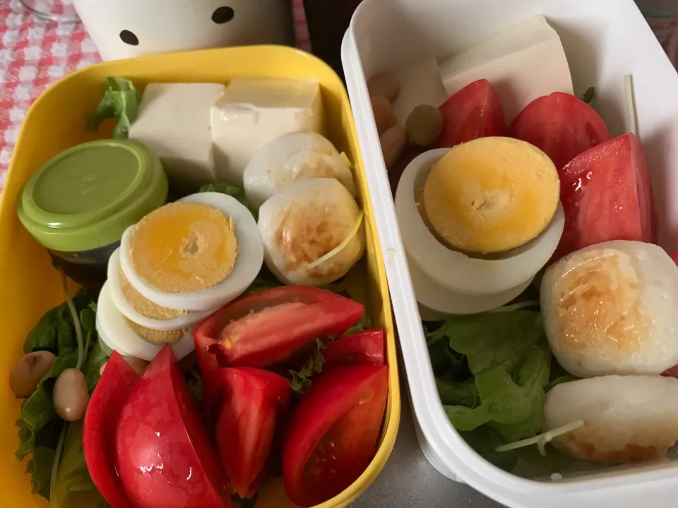 10月9日サラダ弁当🥗|とももさん