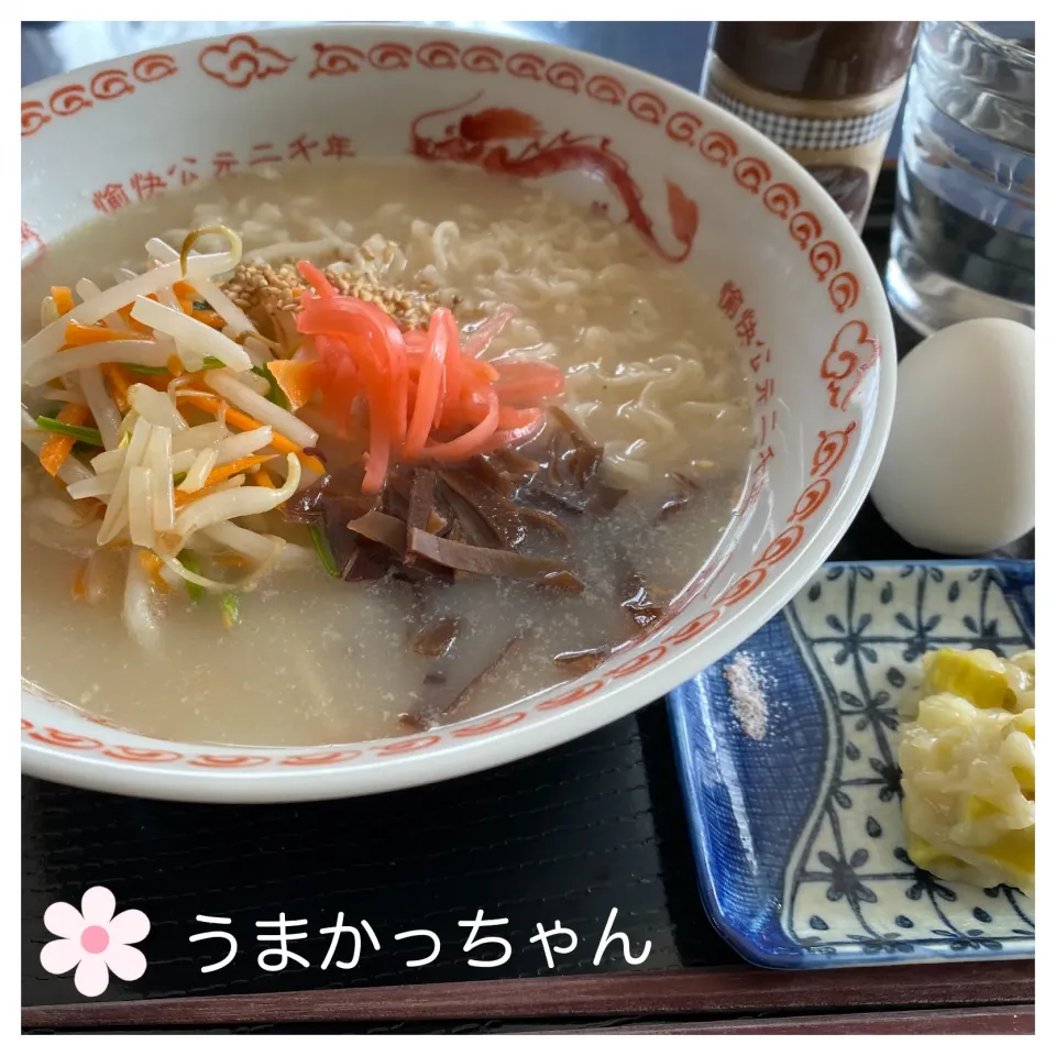 Snapdishの料理写真:久しぶりの豚骨味のうまかっちゃん|いのっちさん