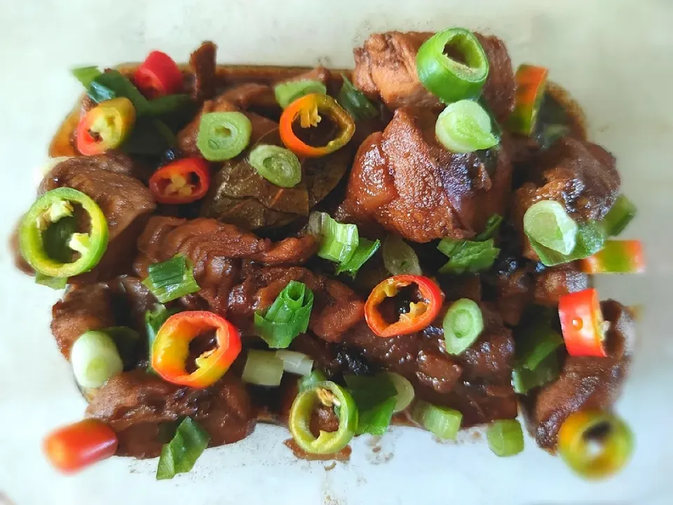 Filipino Pork Adobo with Gata|vanessago8さん