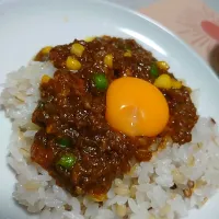 即席キーマカレー|シルバさん