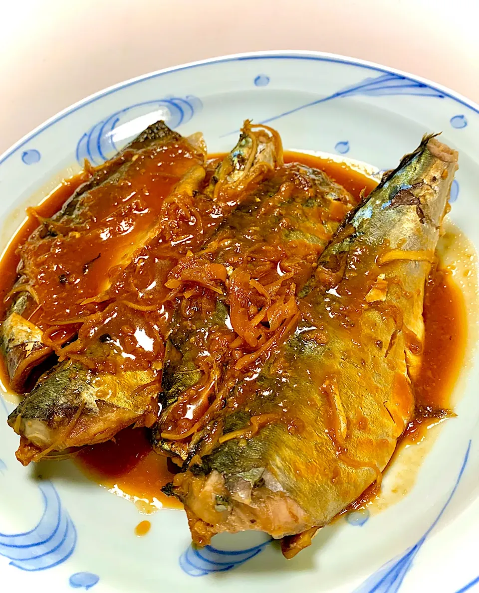 Saba Misoni (Miso-simmered mackerel)|gonbenさん