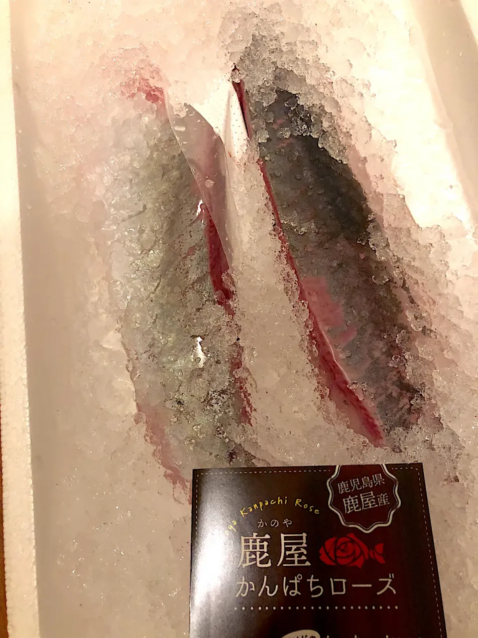 鹿屋かんぱちローズ🐟|Pecoさん