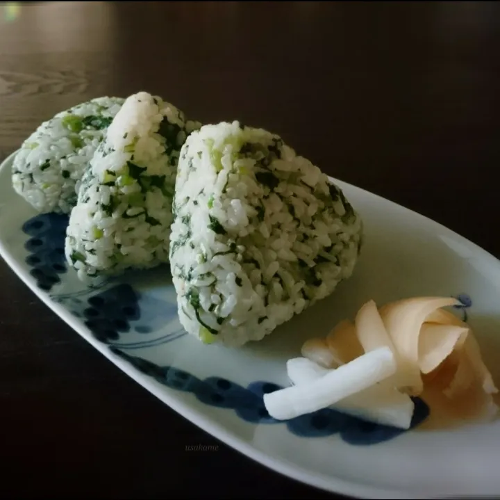 菜飯おにぎり|うさかめさん