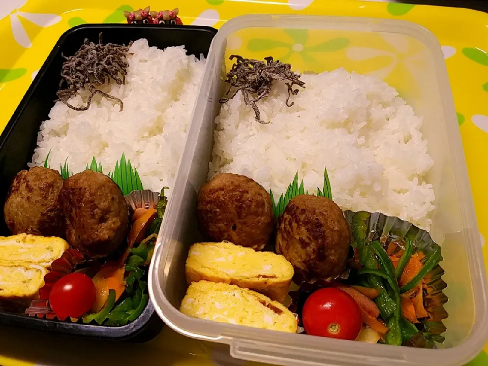 夫弁当、息子弁当|みどりさん