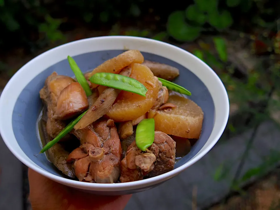 Snapdishの料理写真:大根とごぼう、鶏肉ぶつ切り煮|@chieko_tanabe_さん