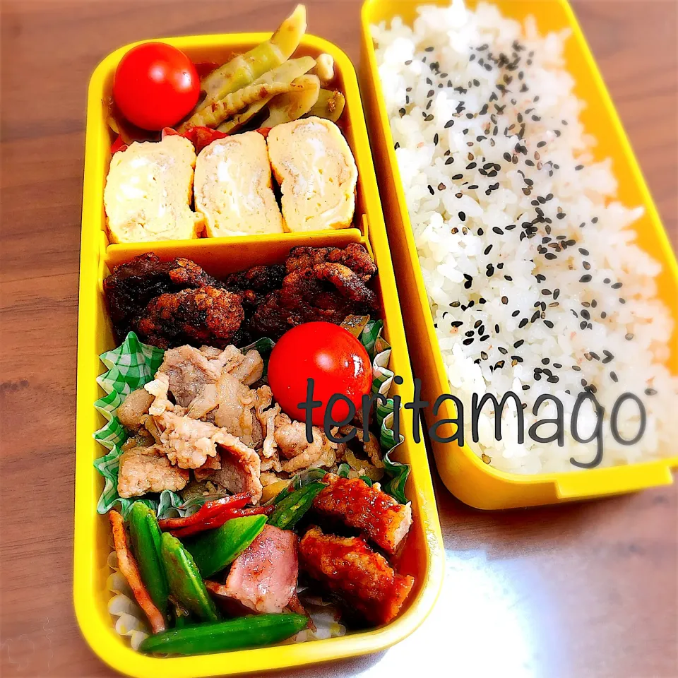 お弁当|teritamagoさん