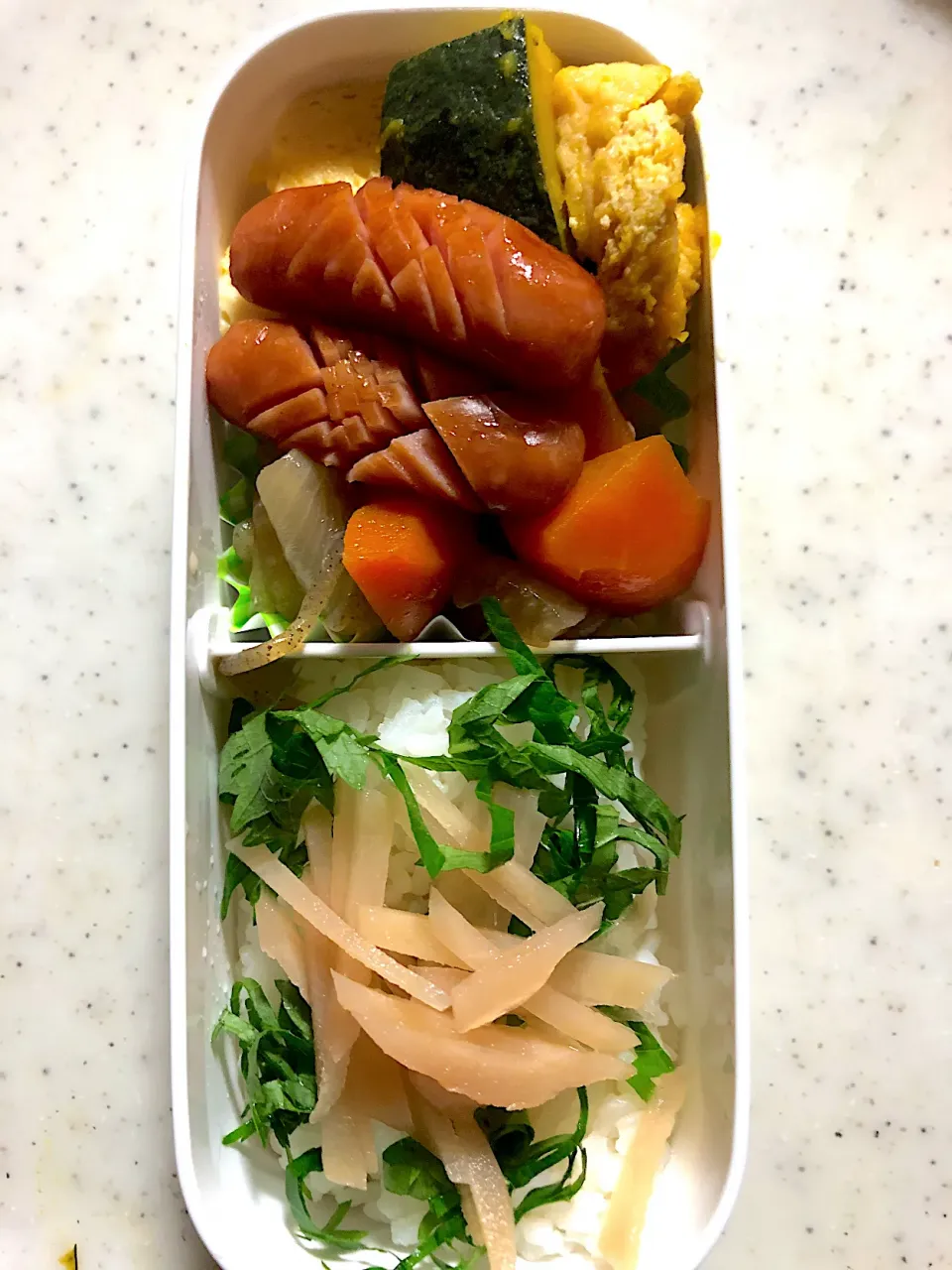 今日のお弁当|ころりんさん