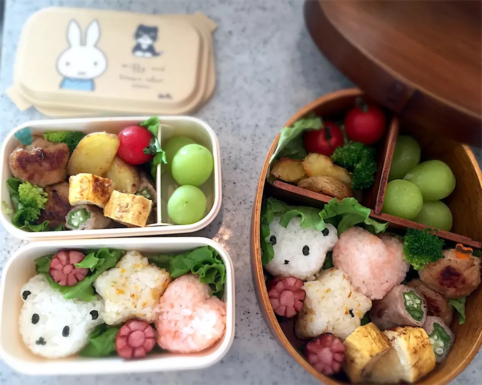 Snapdishの料理写真:おやこ遠足お弁当|Satomi Cafeさん