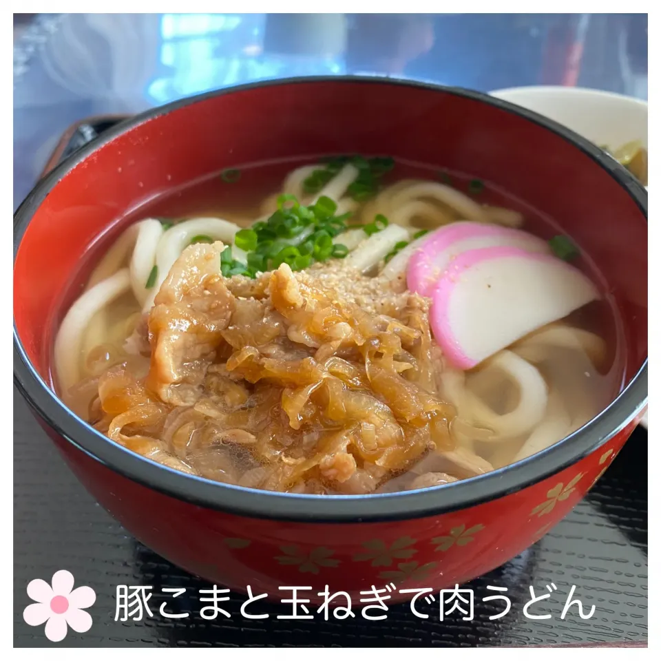 豚こまと玉ねぎで肉うどん|いのっちさん