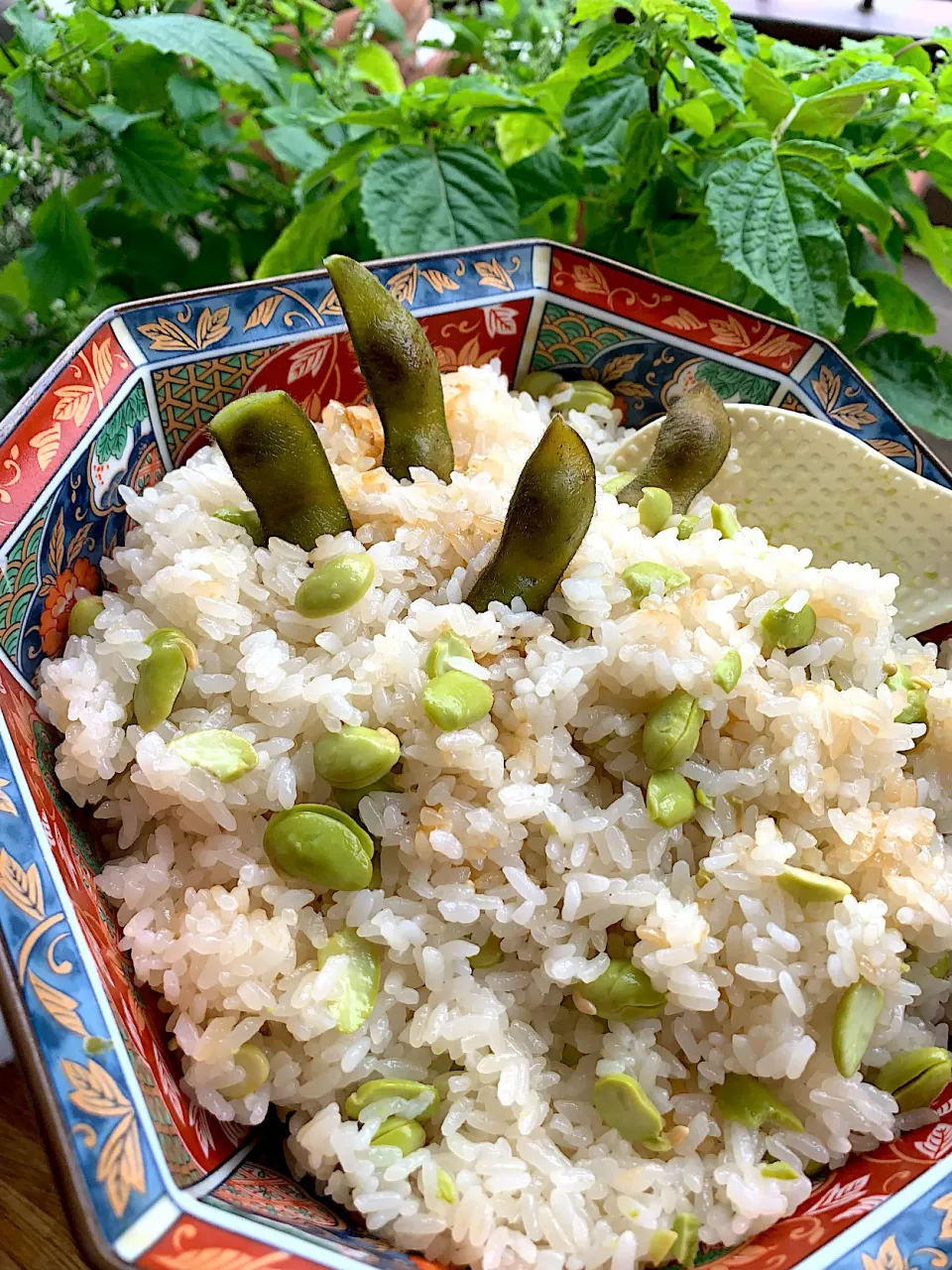 Snapdishの料理写真:丹波篠山黒枝豆を枝からむしって茹でて豆ご飯炊き上がりました|シュトママさん