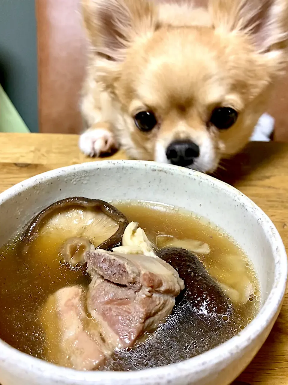 犬も興奮するスペアリブと干し椎茸のスープ|エイコさん