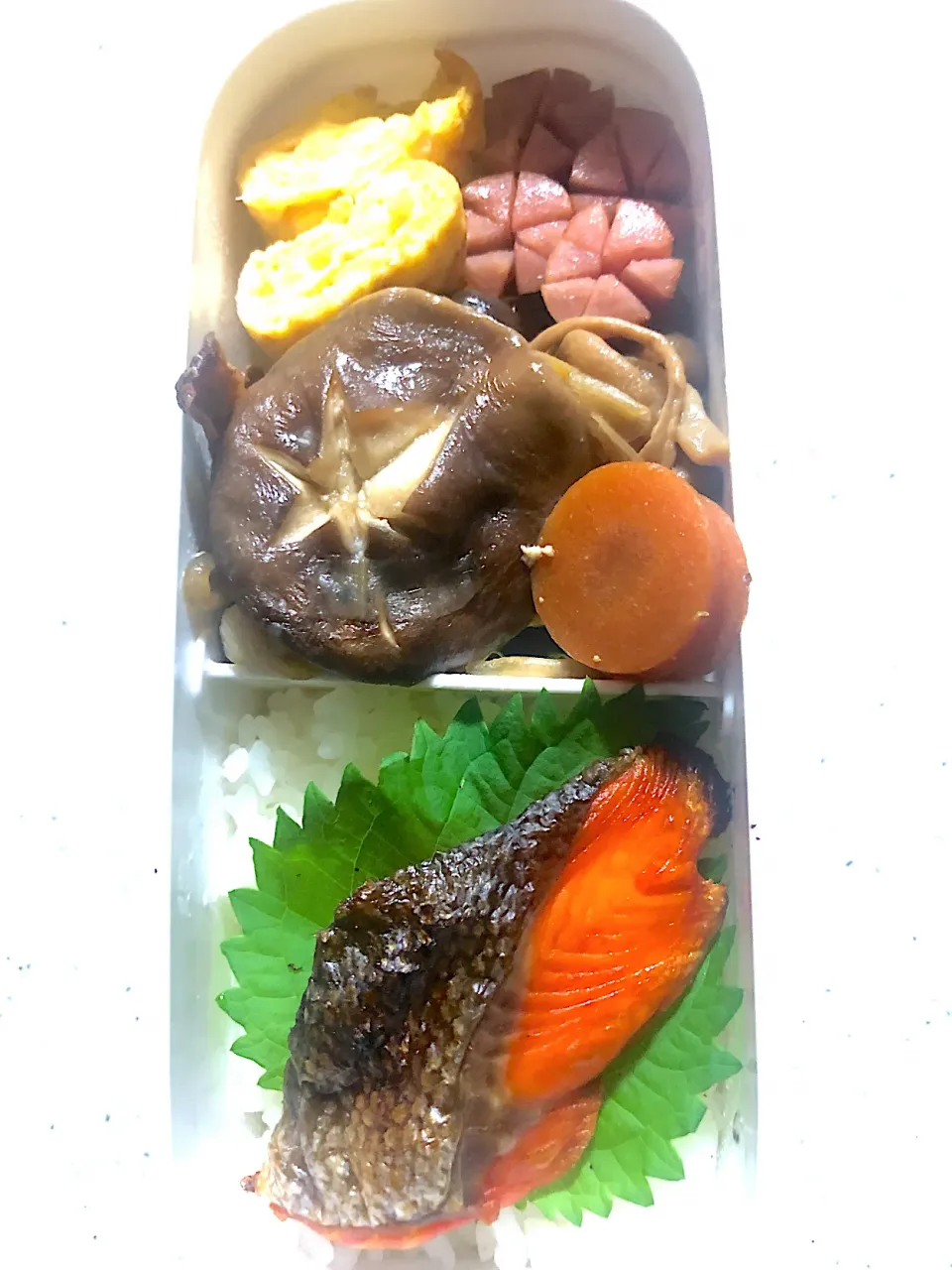 今日のお弁当🍱|ころりんさん