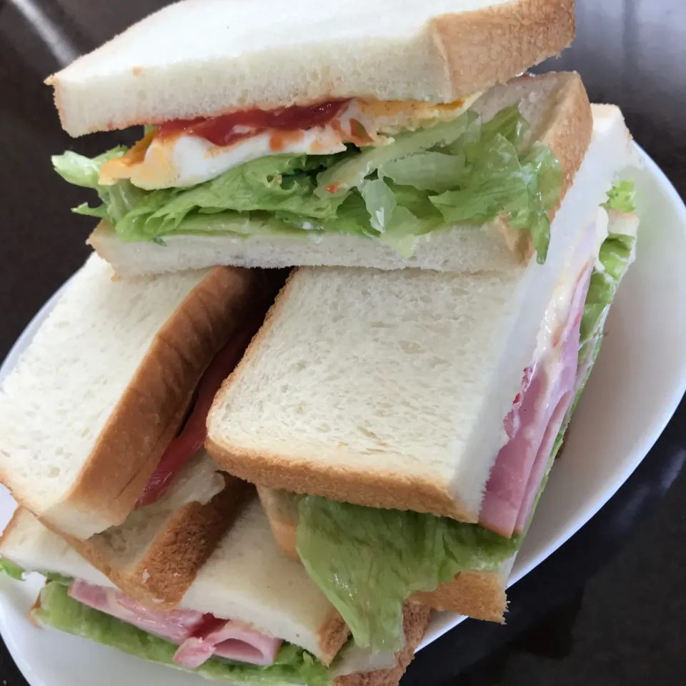 Snapdishの料理写真:サンドイッチ　オムレツ、レタス🥬ハムトマト🍅|純さん