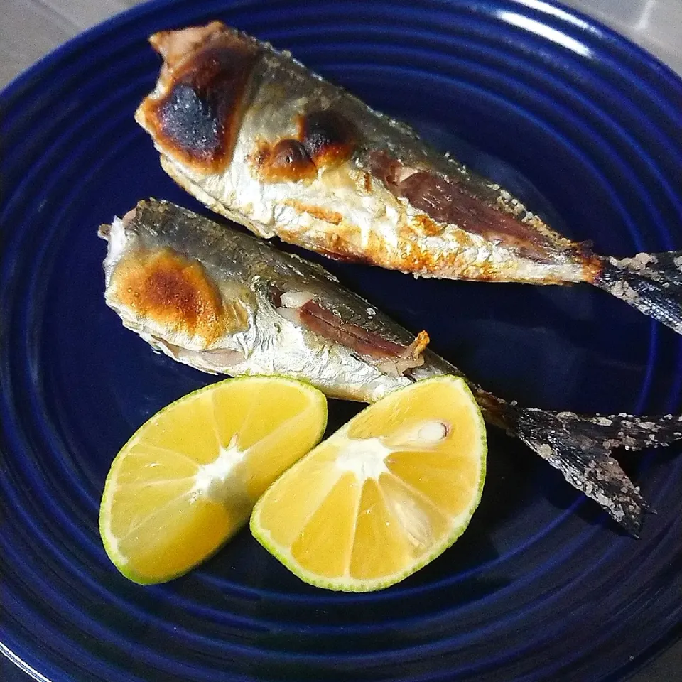 Snapdishの料理写真:釣ったアジの塩焼き🐟|ゆっこさん