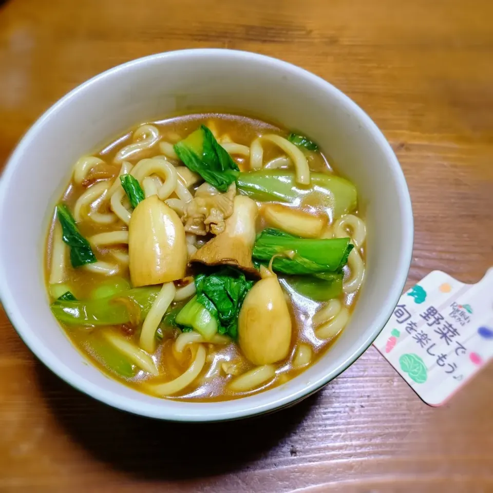 『らでぃっしゅぼーやお野菜でカレーうどん』|seri-chanさん