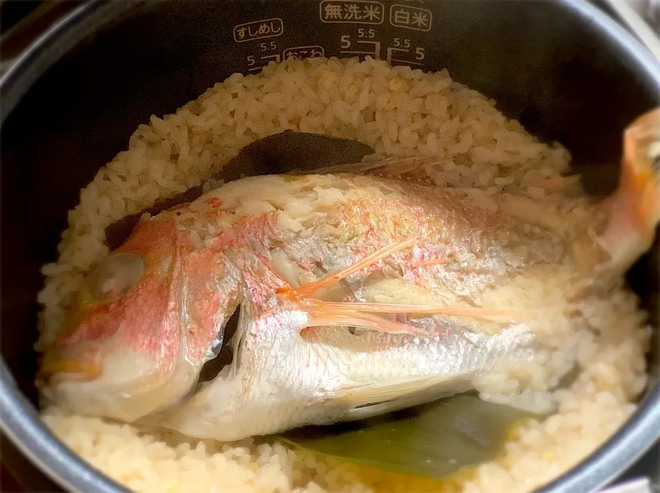 炊飯器でまるっと1匹鯛めし|ふくすけ食堂さん