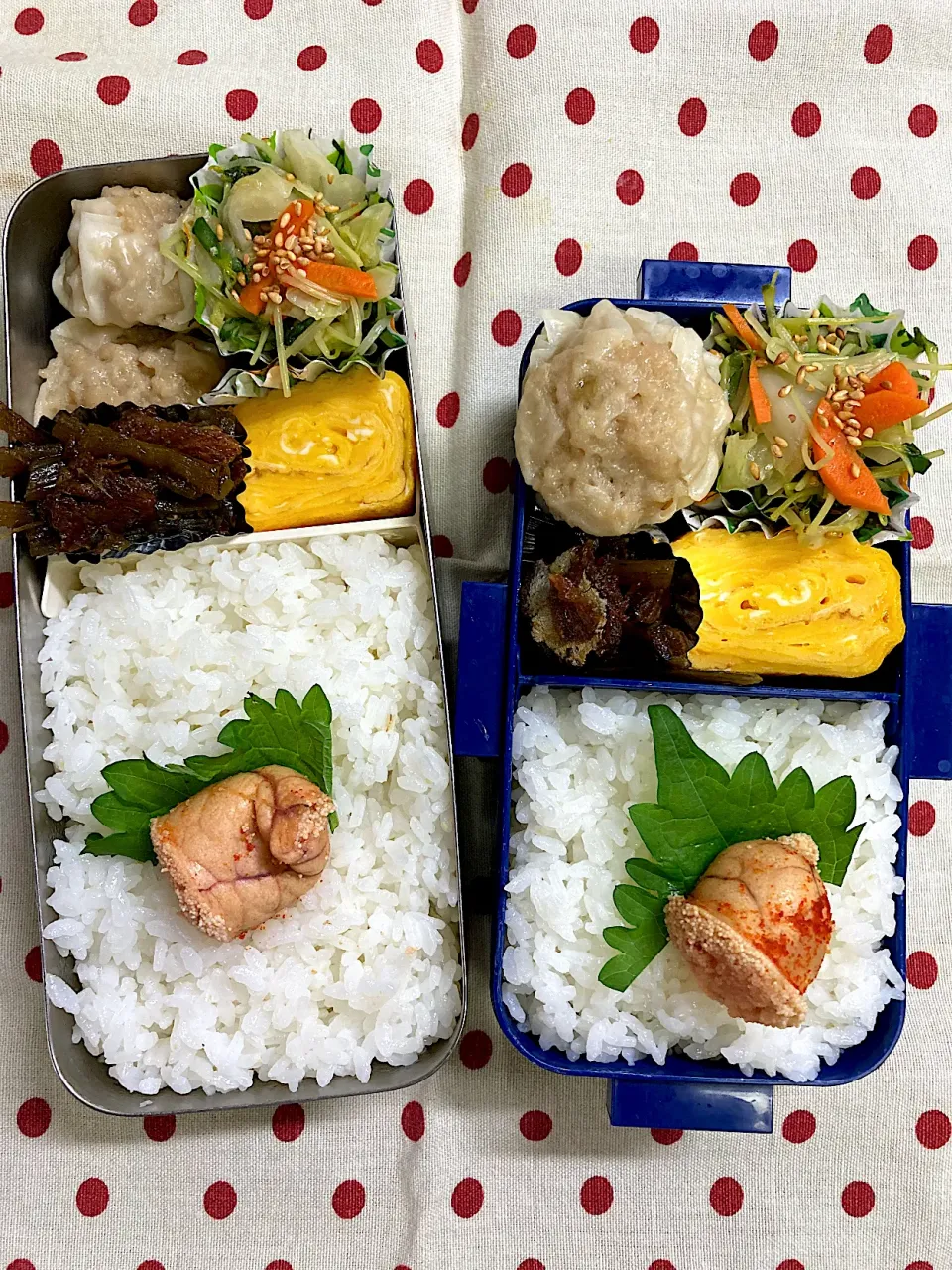 10月20日　久々弁当🍱|sakuramochiさん