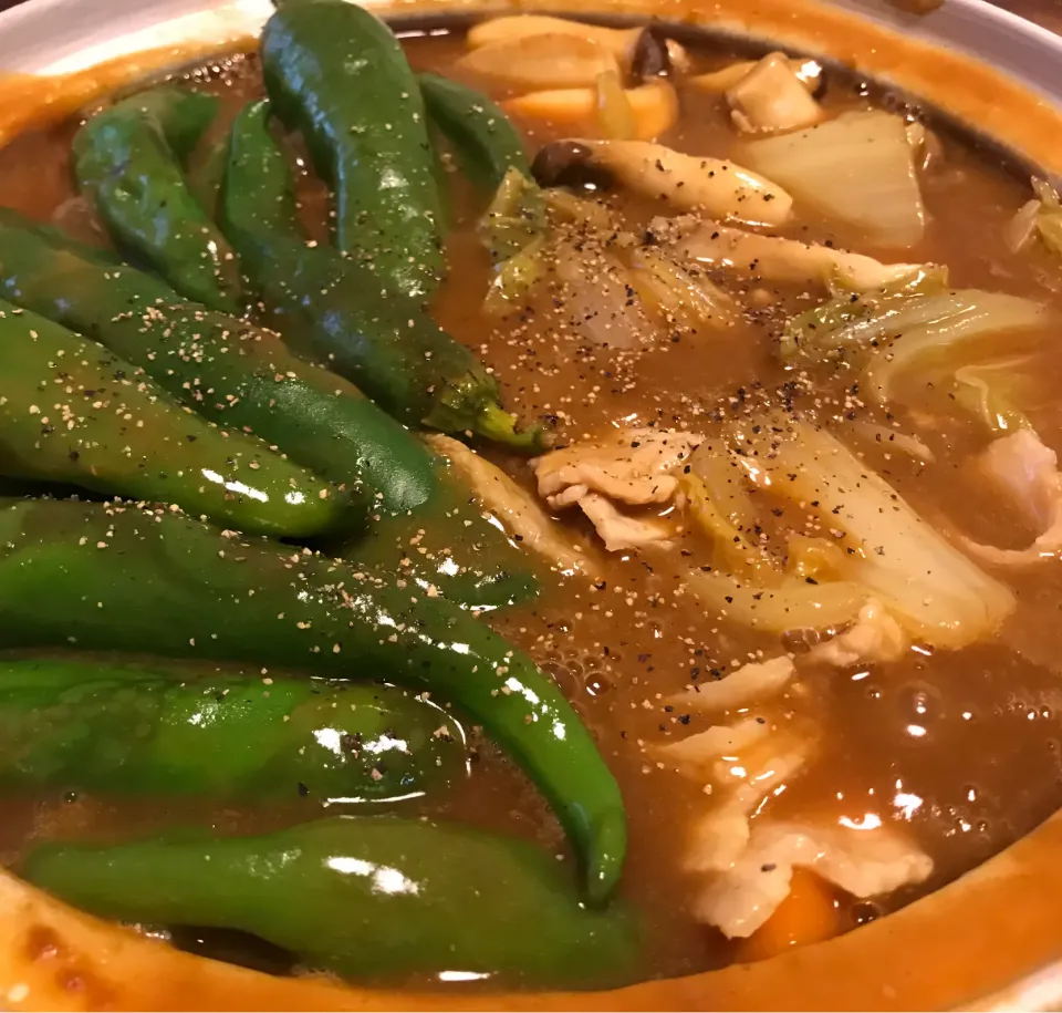 カレー鍋　甘唐辛子入り|sanaeさん