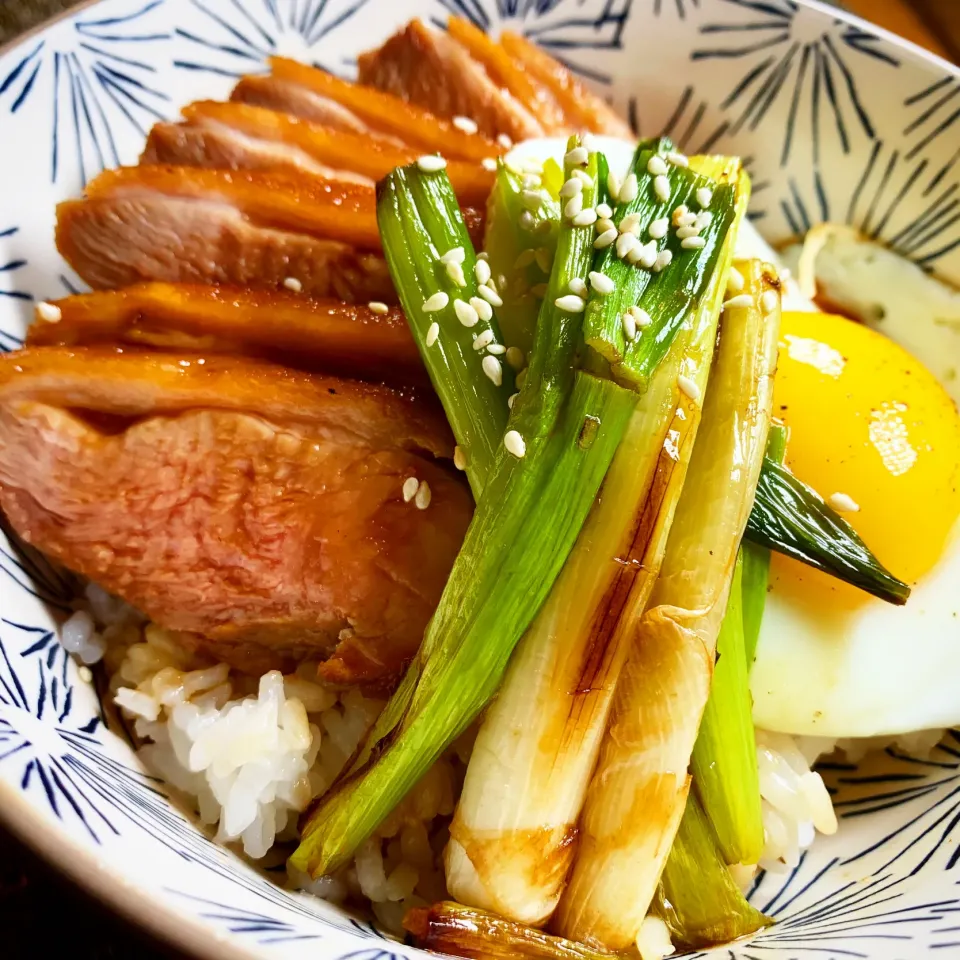 Snapdishの料理写真:Teriyaki Duck Breast Rice Bowl (柔らかジューシー鴨肉の照り焼き丼)|Masa, The Cooking Husbandさん