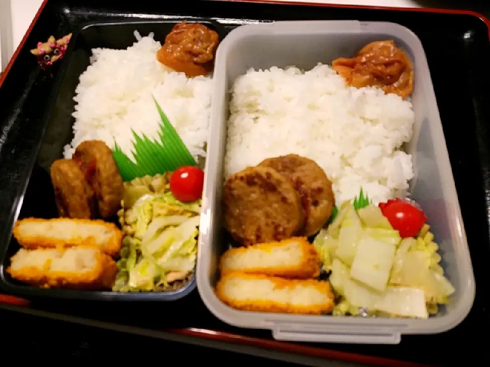 夫弁当、息子弁当|みどりさん