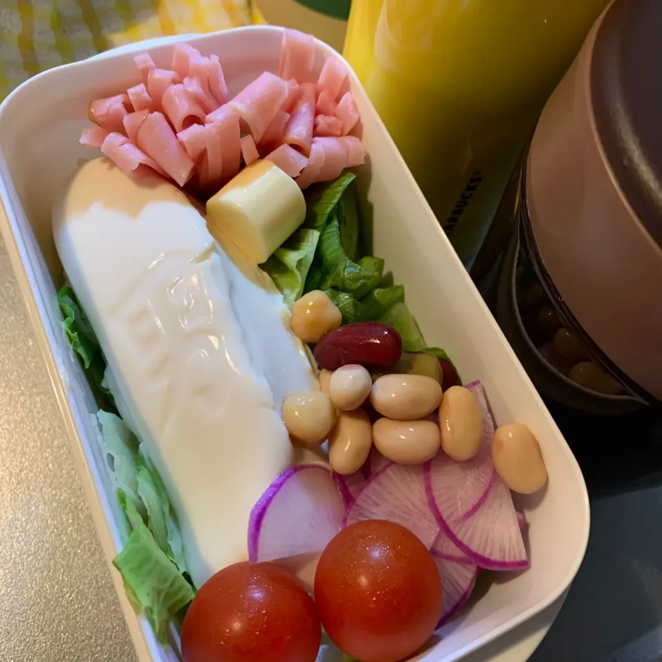 10月22日サラダ弁当🥗|とももさん