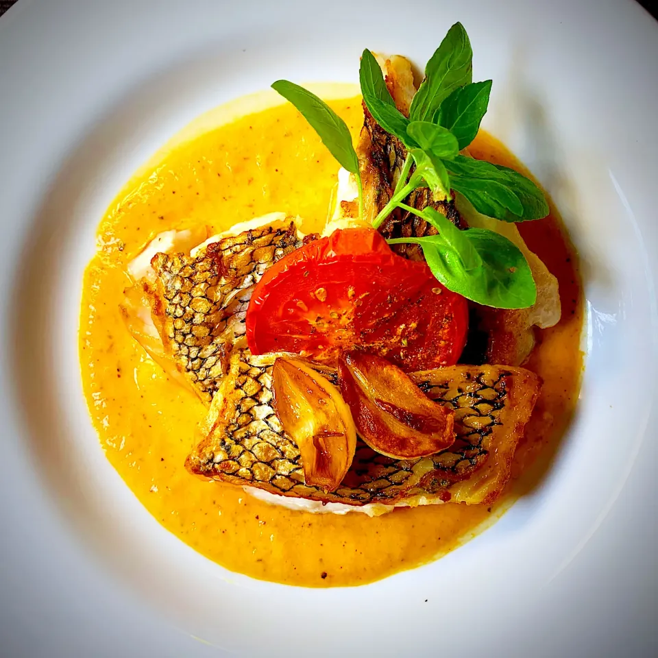 Pan Roasted Black Sea Bass, with Sweet Pepper Puree(ブラックシーバスのオリーブオイル焼き、鮮やかなパプリカのピューレソースを添えて)|Masa, The Cooking Husbandさん